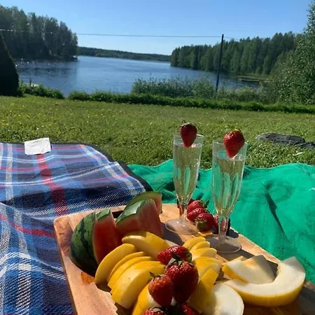 Elsa Дом отдыха *